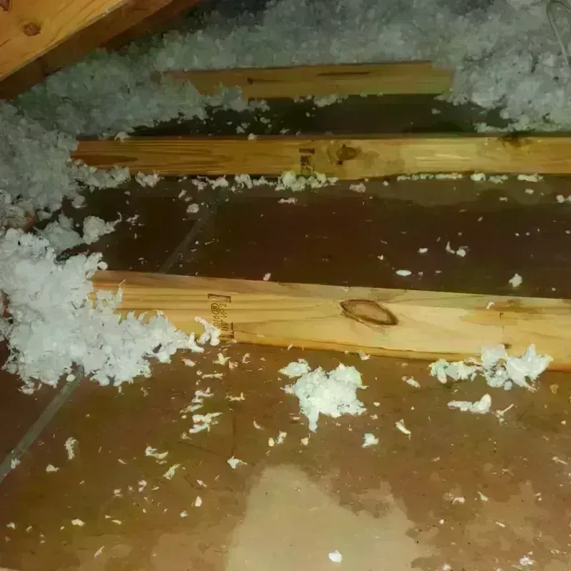 Attic Water Damage in Madisonville, TX