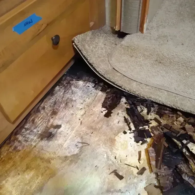 Wood Floor Water Damage in Madisonville, TX